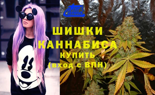 скорость Верхний Тагил