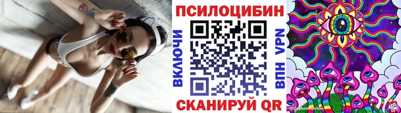 Купить закладки  Воркута  Галлюциногенные грибы Magic Shrooms 